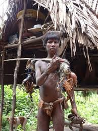 Great Nicobar Mega Project - A disease boat for carrying disease spirits out to sea, Nicabar Islands Wellcome Images Keywords: non-european medicine; Magic; indigenous medicine and tradition; Ethnography