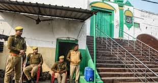 Sambhal Mosque Survey Violence - India Uttar pradesh animals