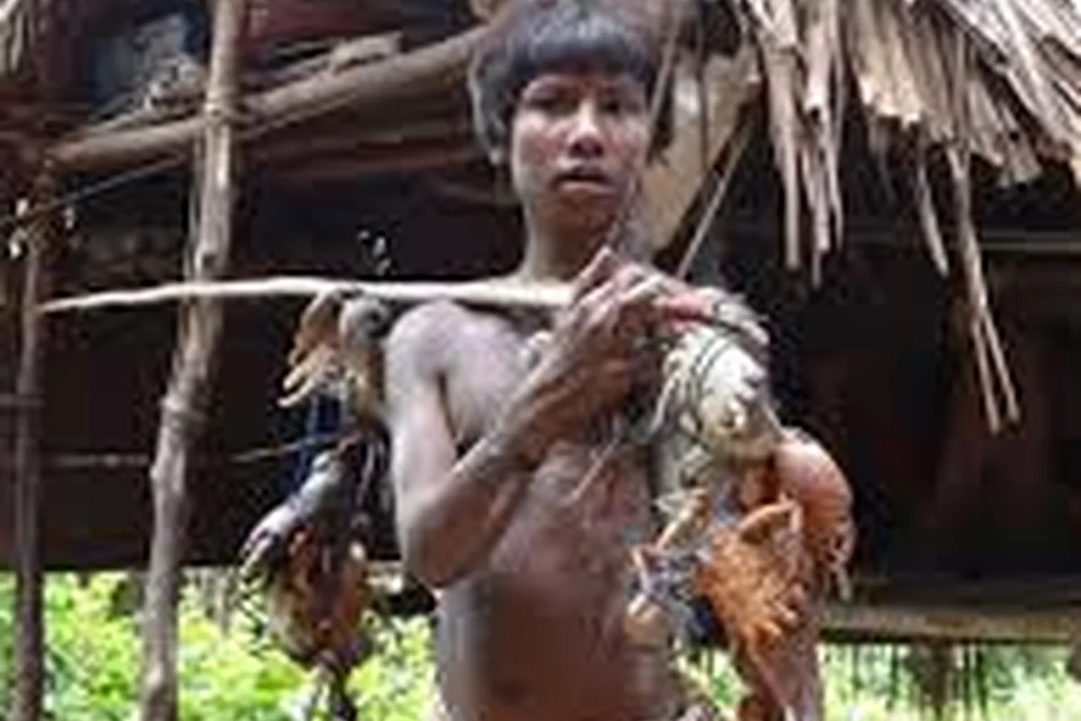 CWI India Unanswered Files visual on the Great Nicobar project, Shompen and Nicobarese concerns, ecology, and development questions.