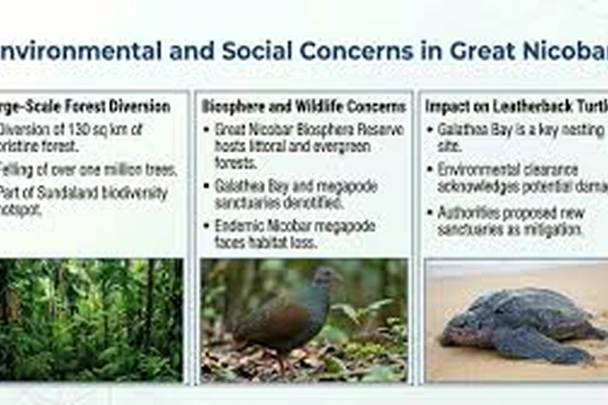 CWI India Unanswered Files visual on the Great Nicobar project, Shompen and Nicobarese concerns, ecology, and development questions.