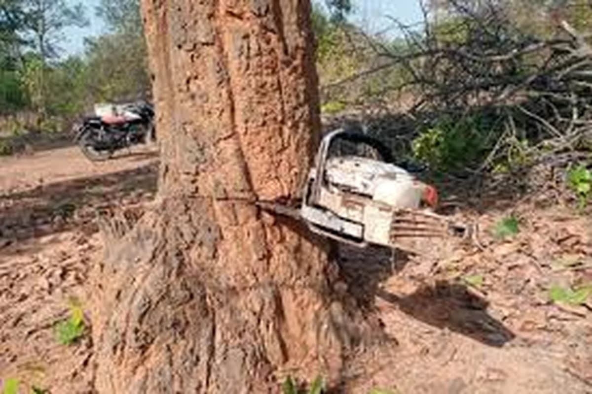 CWI India Unanswered Files visual on Hasdeo coal mining, forest protection, Adivasi resistance, and public accountability.